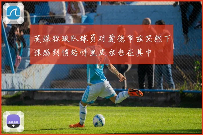英媒称狼队球员对爱德华兹突然下课感到愤怒特里皮尔也在其中